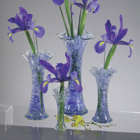 cristaux rétenteurs d'eau Floragel - Iris