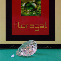 cristaux rétenteurs d'eau Floragel